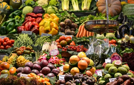 adopter mode alimentation bio quotidien