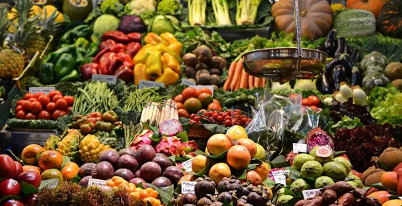 adopter mode alimentation bio quotidien