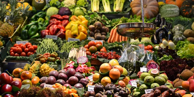 adopter mode alimentation bio quotidien